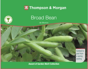 Broad Bean de Monica - image 1
