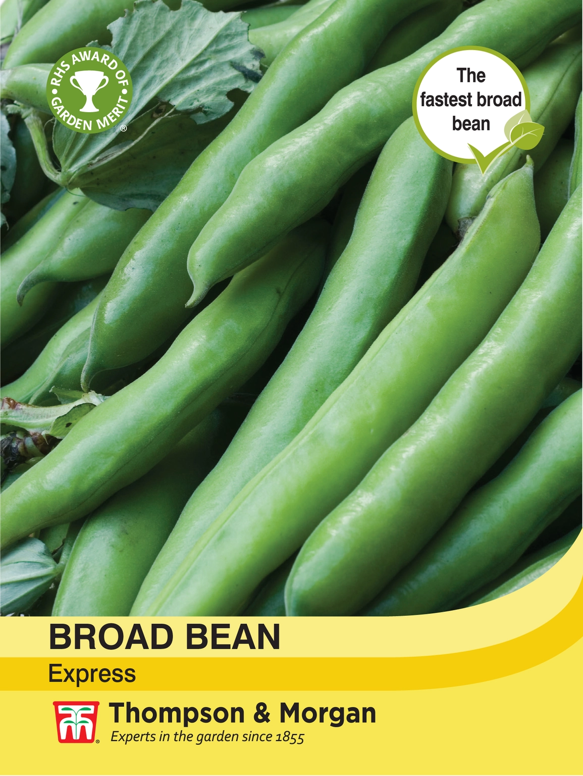 Broad Bean Express Seeds - Cowell's Garden Centre | Woolsington
