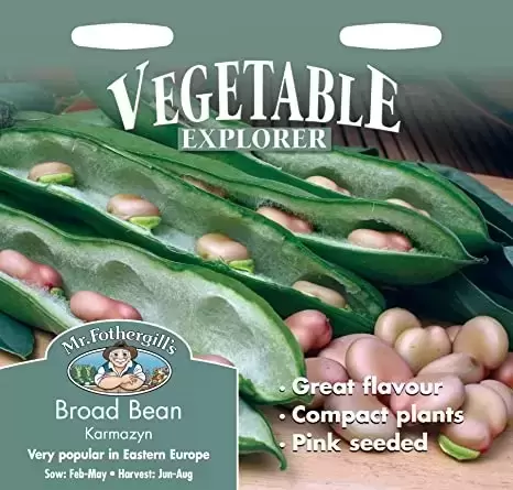 Broad Bean Karmazyn (Pink Seed) - image 1