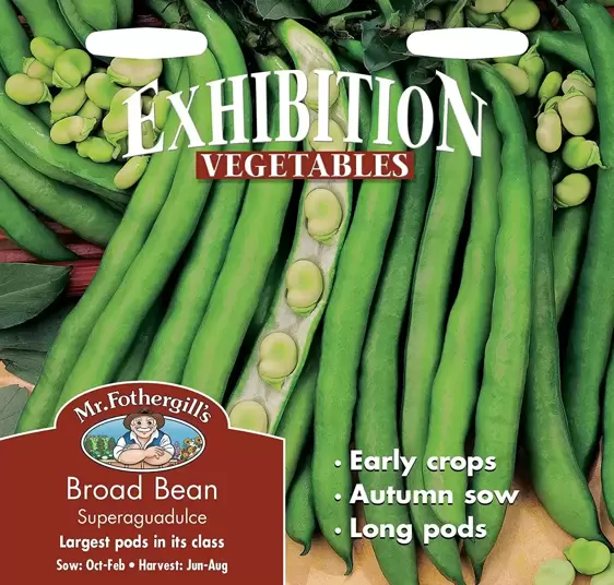 Broad Bean Superaguadulce - image 1