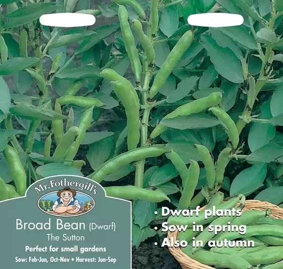 Broad Bean The Sutton (Dwarf) - image 1