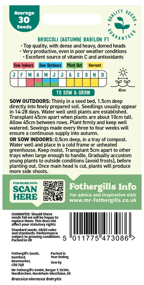 Broccoli (Autumn) Babilon F1 - image 2