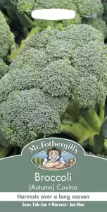 Broccoli (Autumn)  Covina - image 1