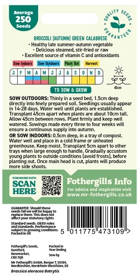 Broccoli (Autumn) Green Calabrese Seeds - image 2
