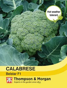Broccoli Belstar F1 - image 1