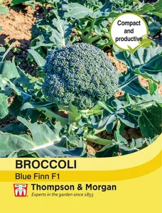 Broccoli Blue Finn F1 - image 1