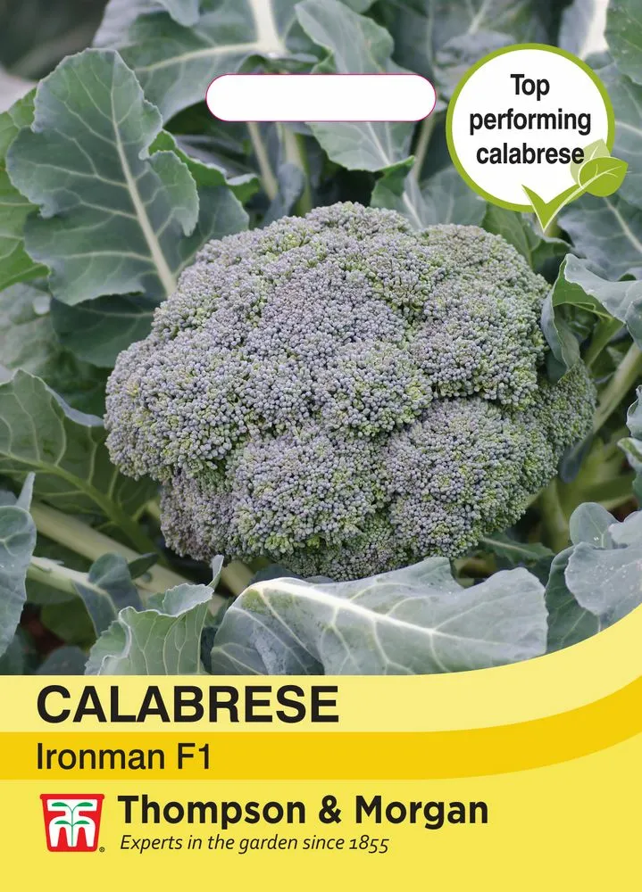 Broccoli Ironman F1 Cowell's Garden Centre Woolsington