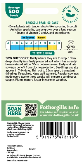 Broccoli Raab 60 Days Seeds - image 2