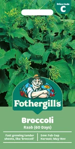 Broccoli Raab 60 Days Seeds - image 1