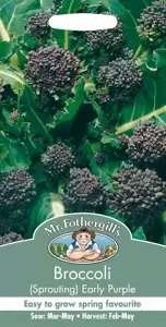 Broccoli (Sprouting) Early Purple - image 1