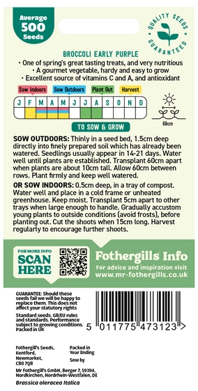 Broccoli (Sprouting) Early Purple - image 2