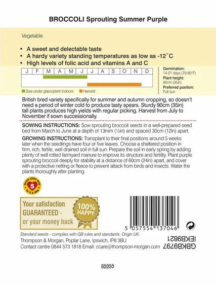 Broccoli (Sprouting) Summer Purple - image 2