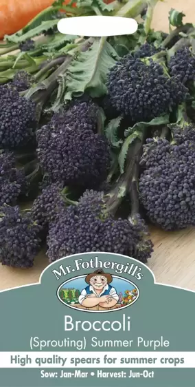 Broccoli (Sprouting) Summer Purple - image 1