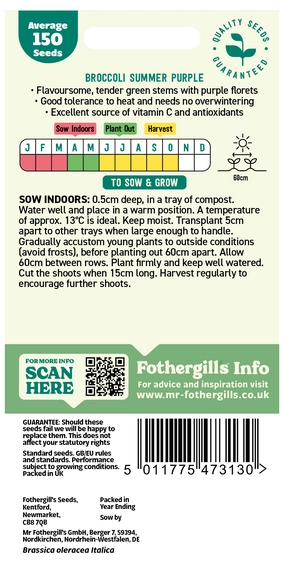 Broccoli (Sprouting) Summer Purple Seeds - image 2