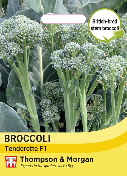 Broccoli Tenderette F1 - image 1