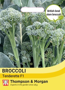 Broccoli Tenderette F1 - image 1