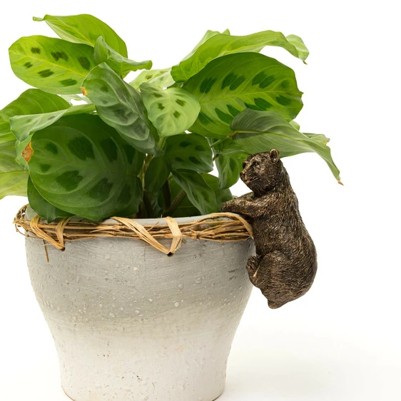 Brown Bear Pot Buddy - image 3