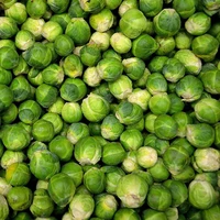 Brussels Sprout