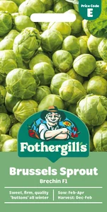 Brussels Sprout Brechin F1 - image 1