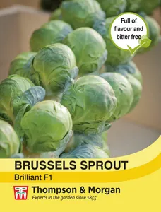 Brussels Sprout Brilliant F1 - image 1