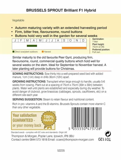 Brussels Sprout Brilliant F1 - image 2