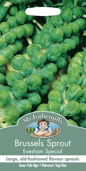 Brussels Sprout Evesham Special - image 1