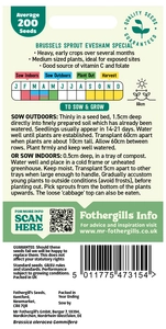 Brussels Sprout Evesham Special - image 2