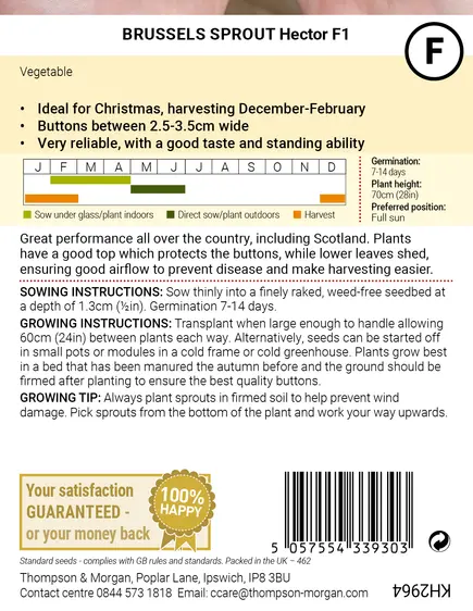 Brussels Sprout Hector F1 Seeds - image 2