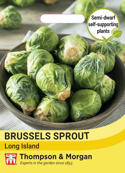 Brussels Sprout Long Island - image 1