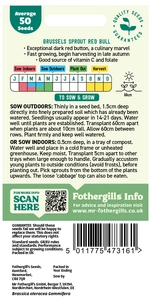 Brussels Sprout Red Bull - image 2