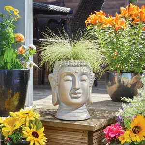 Buddha Head Planter