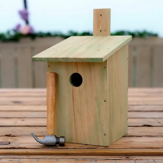 Children's Build A Bird Box Workshop