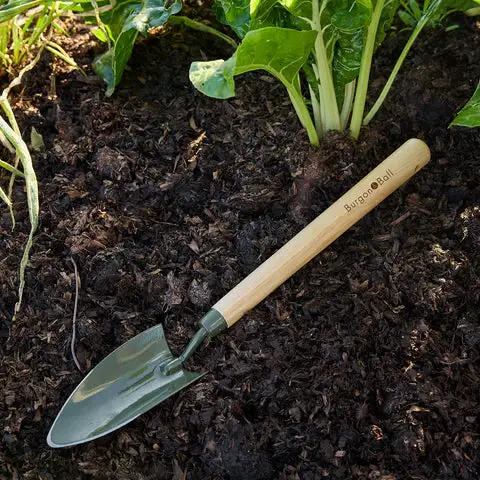 Burgon & Ball BoronGreen Mid Handled Trowel - image 2