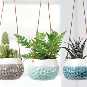 Burgon & Ball Hanging Pot 'Baby Dotty' Trio - image 2