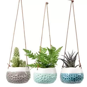 Burgon & Ball Hanging Pot 'Baby Dotty' Trio - image 3