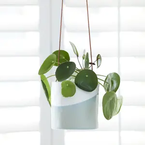 Burgon & Ball Hanging Pot 'Dip' - image 3