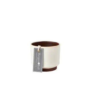 Burgon & Ball Malibu Cream Succulent Pot - image 1