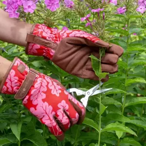 Burgon & Ball Oak Leaf Gloves - Poppy S/M