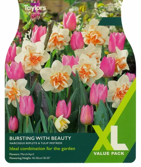 Bursting With Beauty