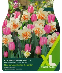 Bursting With Beauty