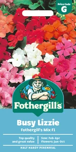 Busy Lizzie Mr F's Mixed F1