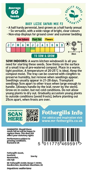 Busy Lizzie Safari Mixed F2 Seeds - image 2