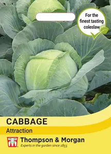 Cabbage Attraction - image 1