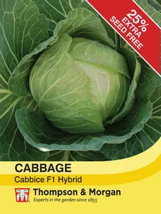 Cabbage Cabbice F1 - image 1