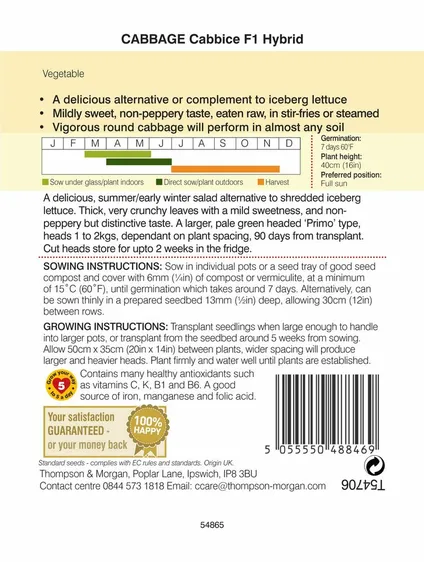 Cabbage Cabbice F1 - image 2