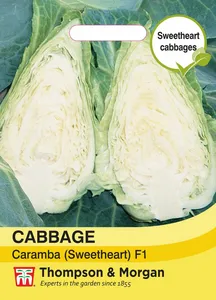 Cabbage Caramba F1 - image 1