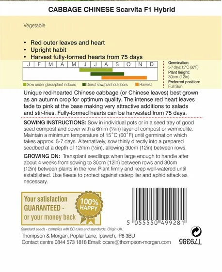 Cabbage Chinese Scarvita F1 - image 2