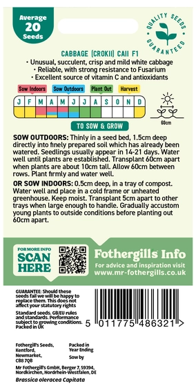 Cabbage (Crokii) Caii F1 - image 2