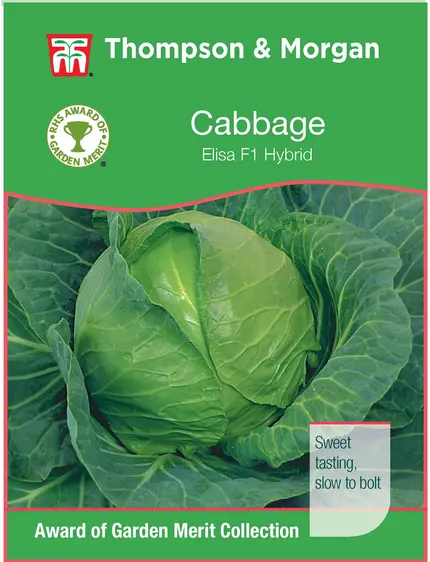 Cabbage Elisa F1 - image 1