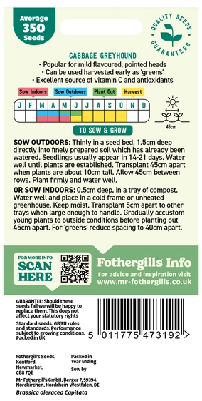 Cabbage Greyhound - image 2